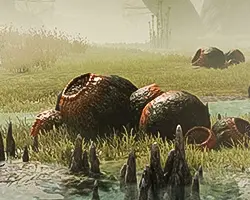 Muddy swamp