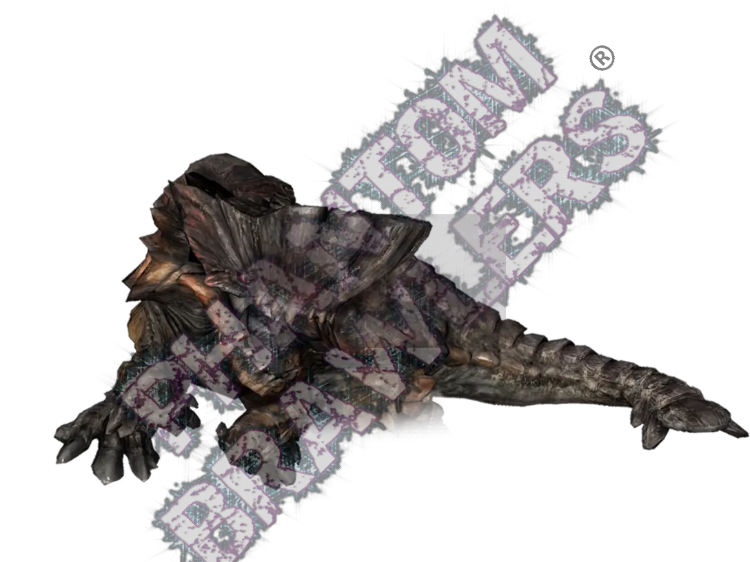 Barroth
