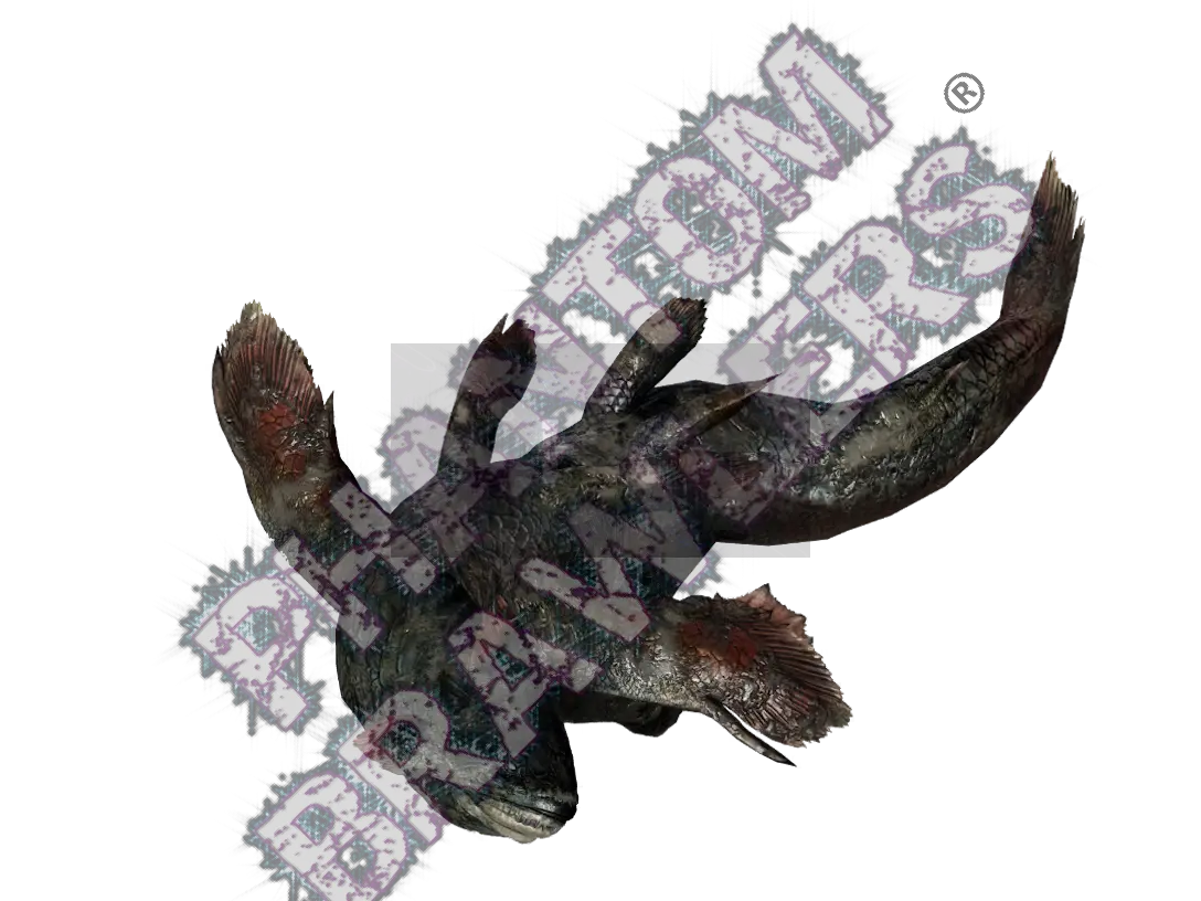 Jyuratodus