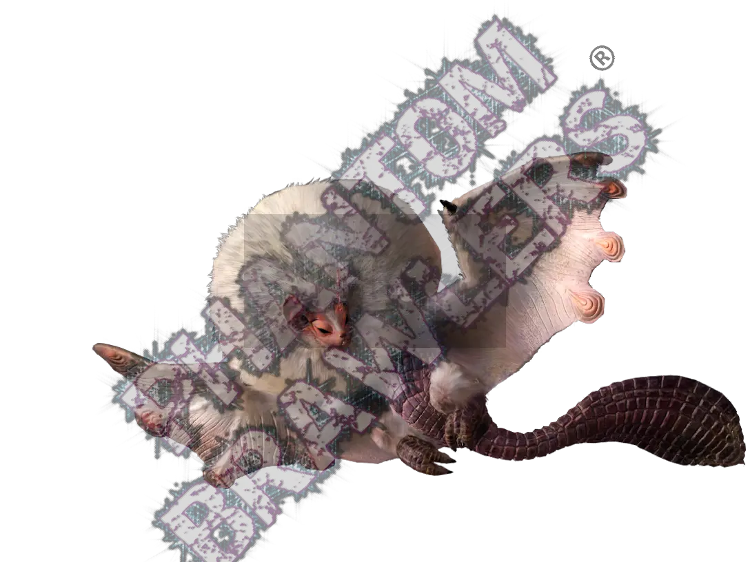 Paolumu