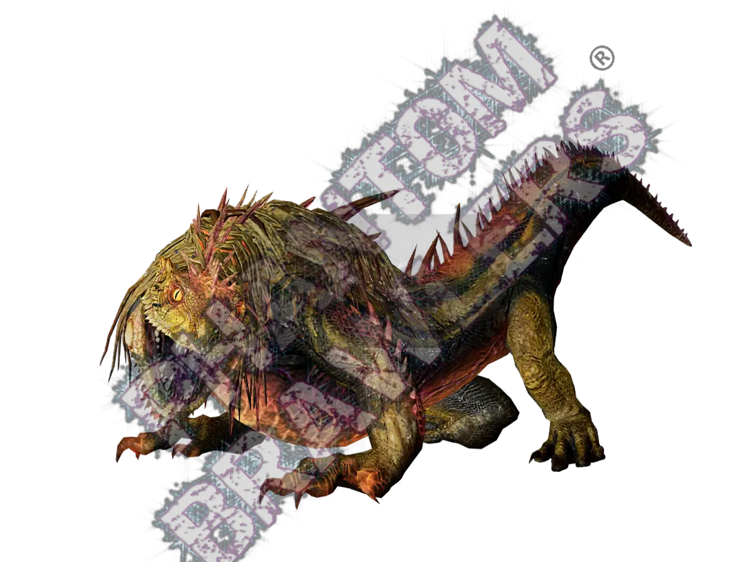 Radiant great jagras