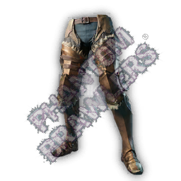  alternative image