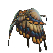 Butterfly Elytra α alternative image