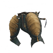 King Beetle Elytra α main image