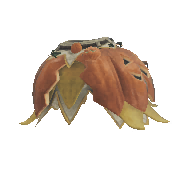 Harvest Hoja α alternative image