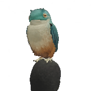 Amstrigian α alternative image