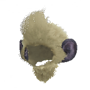 Felyne Blango Head α image