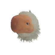 Our Lil' Seikret Head α image