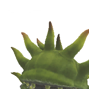 Morbol Seedling Head α image