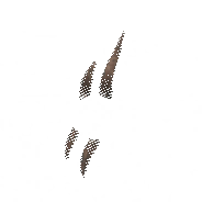 Athos's Scar α image