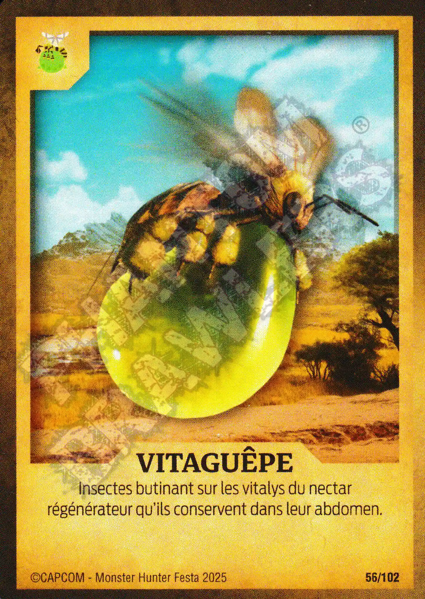 Vigorwasp