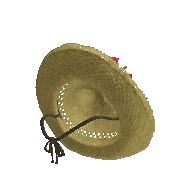 Felyne Aloha Straw Hat α image